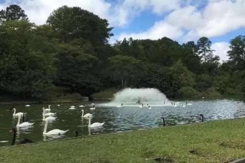 Zoológico de Sapucaia do Sul suspende visitas após morte de 15 animais; causa é investigada