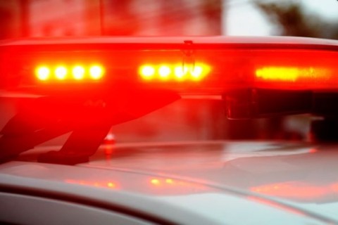 Polícia Civil investiga morte de homem encontrado em mata fechada, em Teutônia